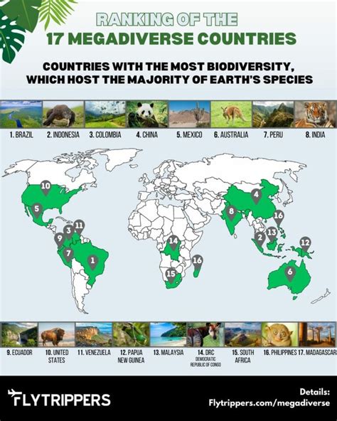 Megadiverse Countries: Custodians of Global Biodiversity.
